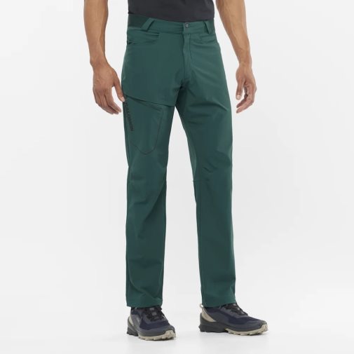 Green Salomon Wayfarer Men's Sport Pants | IE WQ8125